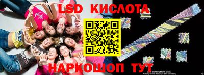 стаф Берёзовский
