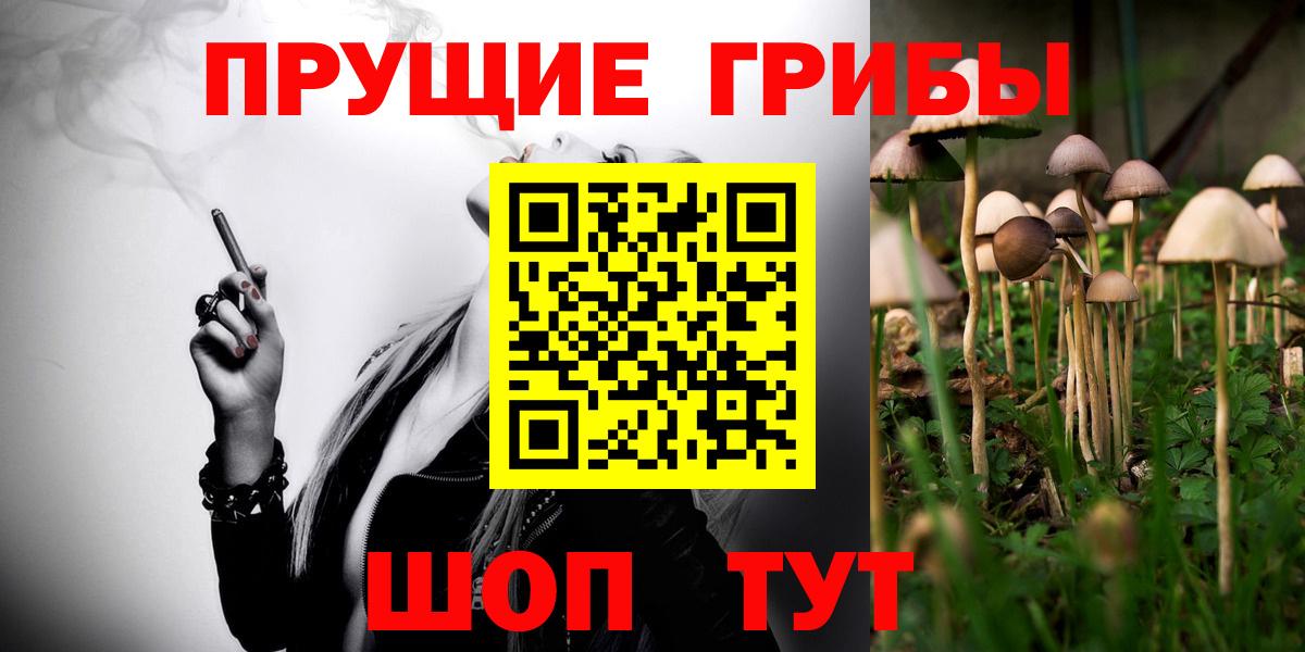 Галлюциногенные грибы GOLDEN TEACHER  Вход с VPN  наркотики  Зеленодольск 